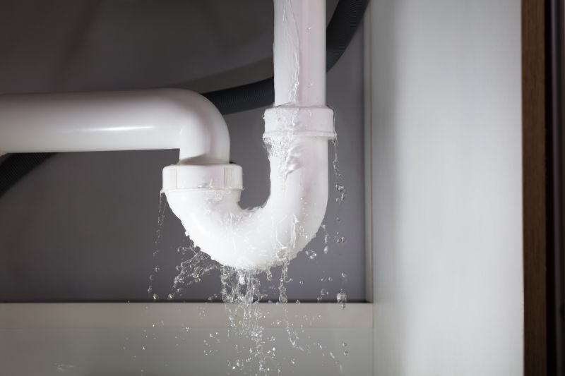 Water Leak Repair in Denver, CO